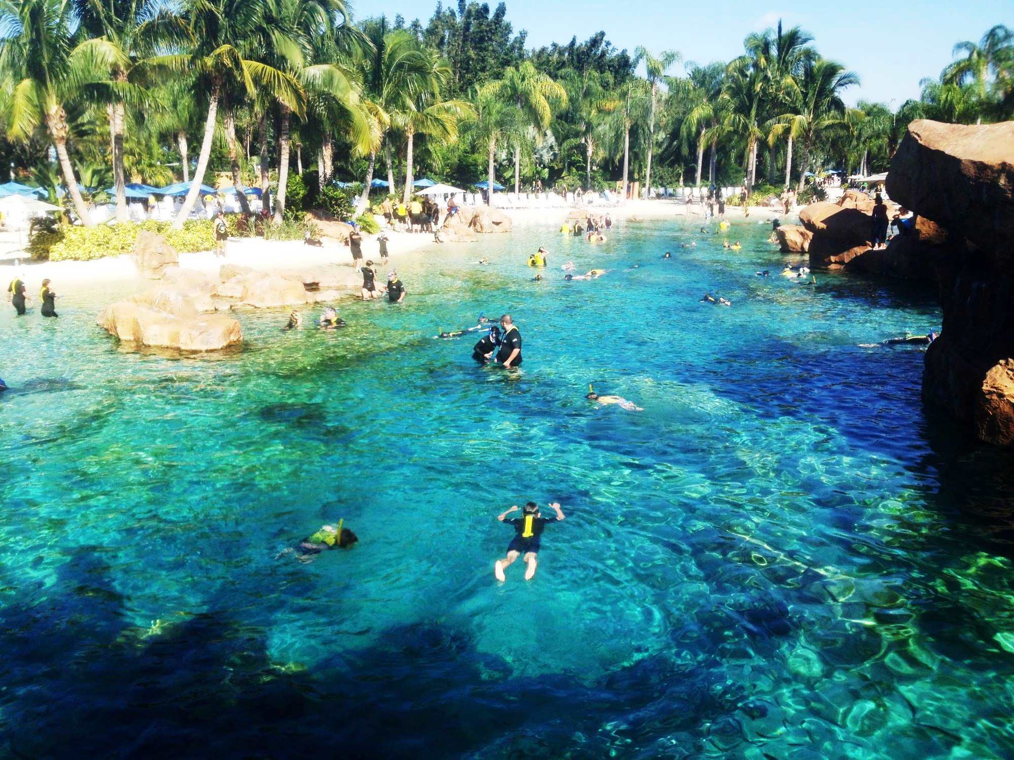 Discovery Cove Cited for Federal Labor Law Violation